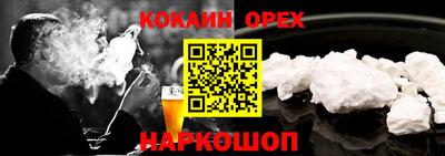 молекула духа Кингисепп
