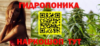 mdpv Кимры