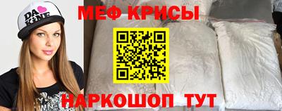 молекула духа Кингисепп