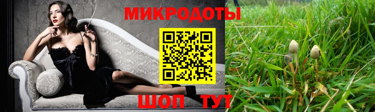 Галлюциногенные грибы Psilocybine cubensis Усинск