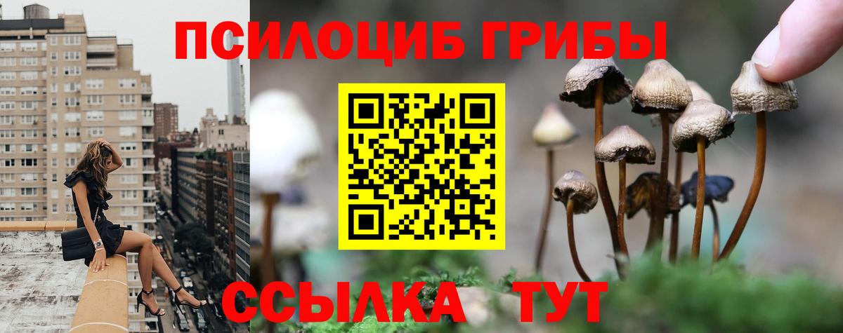 Усинск  Галлюциногенные грибы мухоморы  Псилоцибиновые грибы Psilocybine cubensis  Вход с VPN 